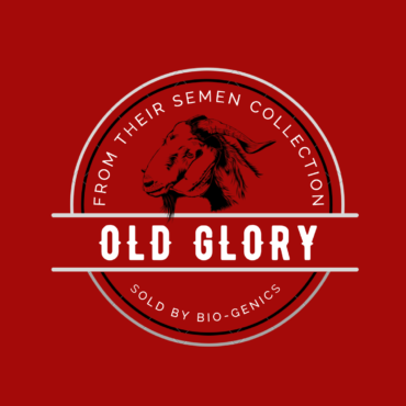 /Users/carolynperkins/Desktop/Screenshot 2023-02-06 at 1.01.38 PM.png